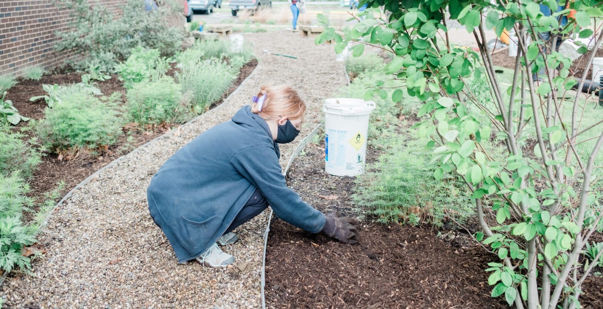 Students at Cornell High School plant trees during the COVD-19 pandemic.