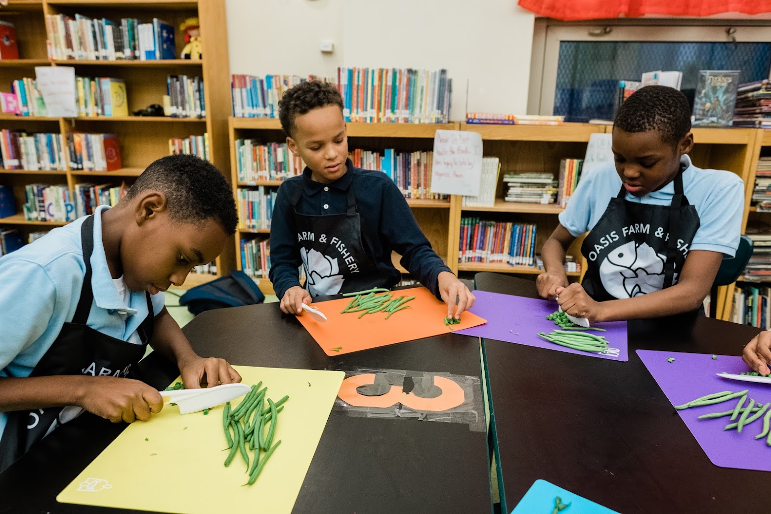 Students chop vegetables as part of Oasis Farm & Fishery's Moonshot grant