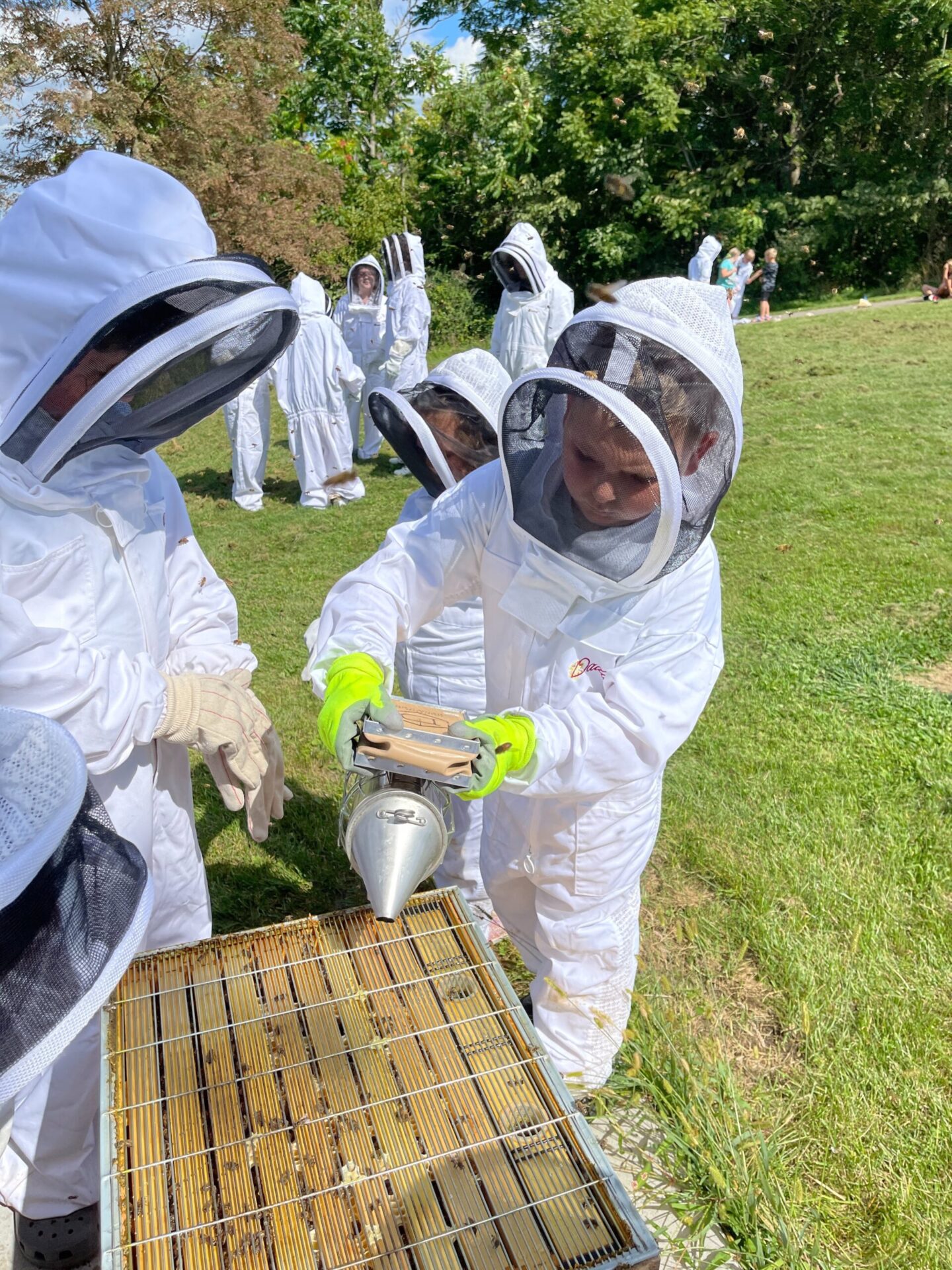 Students dressed in beekeeping suits care for a beehive