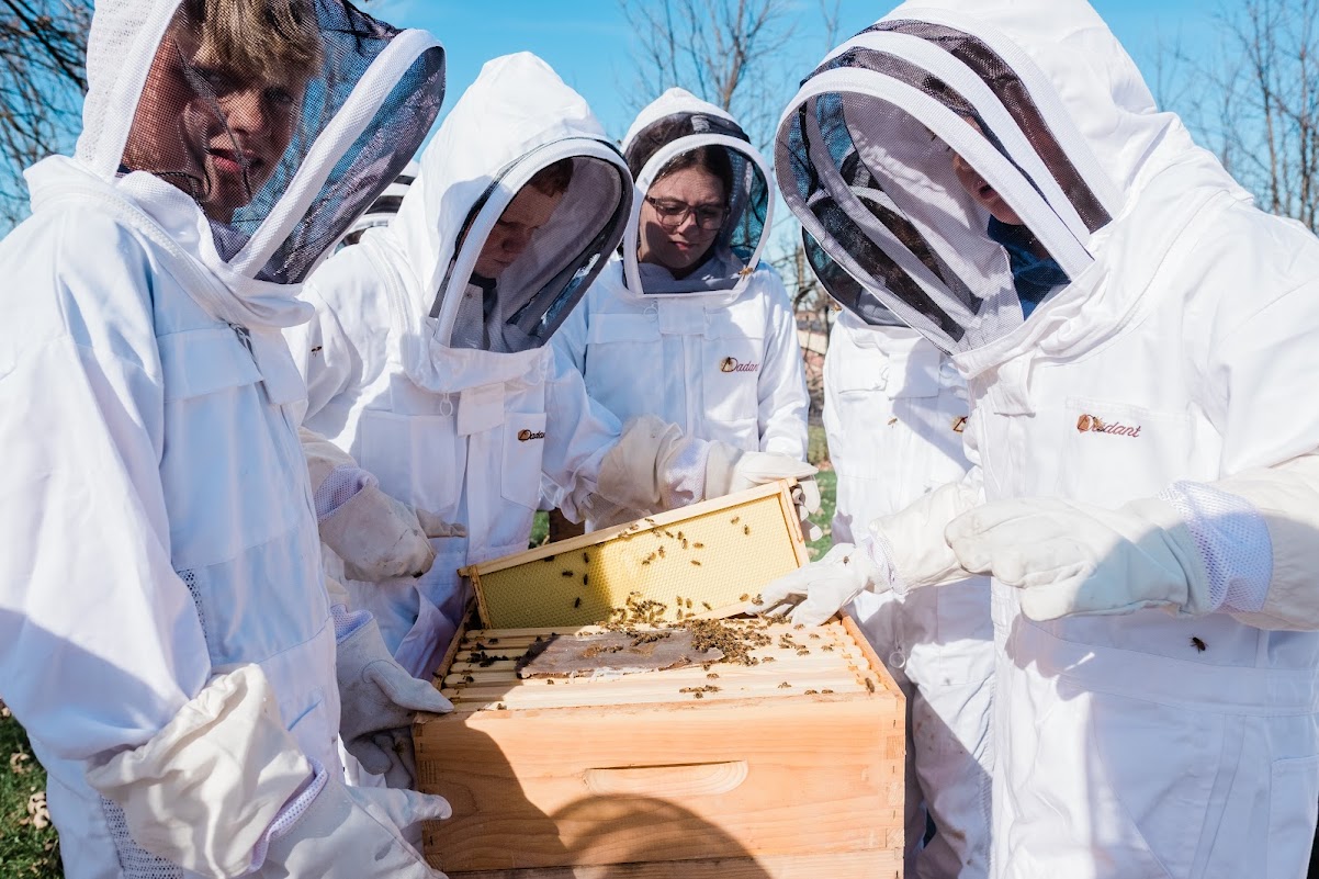 Students at California Area School District check on the bees they care for as part of their personalized learning curriculum